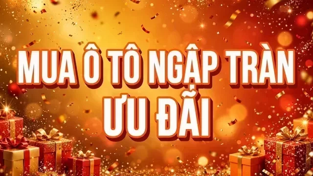 Địa điểm hỗ trợ xem xe tại Phú Yên